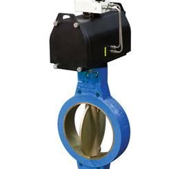 Шламовые клапаны